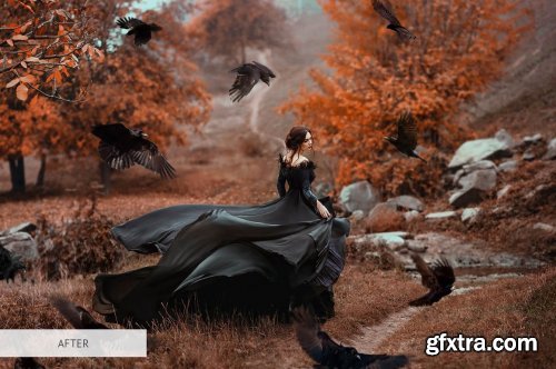 CreativeMarket - Bird Overlays Photoshop 4934539