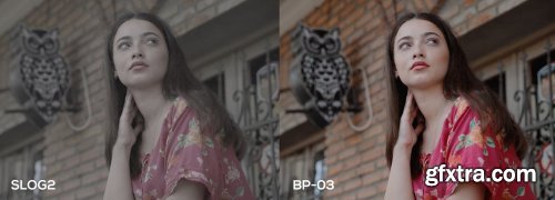 CreativeMarket - Cinematic Luts (Slog2 & Slog3) 4963148