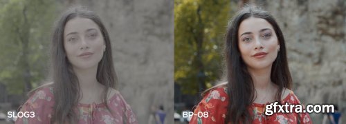 CreativeMarket - Cinematic Luts (Slog2 & Slog3) 4963148