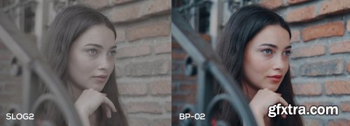 CreativeMarket - Cinematic Luts (Slog2 & Slog3) 4963148