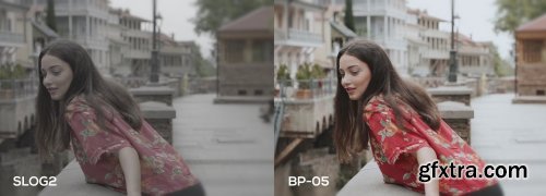 CreativeMarket - Cinematic Luts (Slog2 & Slog3) 4963148