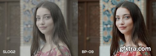 CreativeMarket - Cinematic Luts (Slog2 & Slog3) 4963148