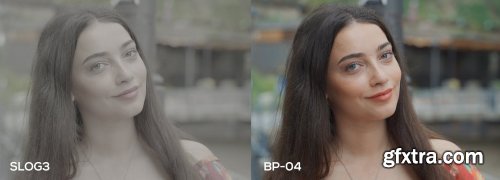 CreativeMarket - Cinematic Luts (Slog2 & Slog3) 4963148