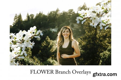 CreativeMarket - Flower Branch Overlays, PNG 5264581