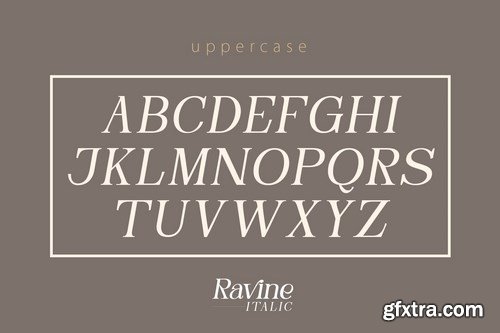 RAVINE ITALIC - Modern Serif