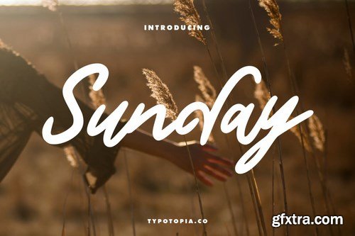 Sunday Handwritten Script Font