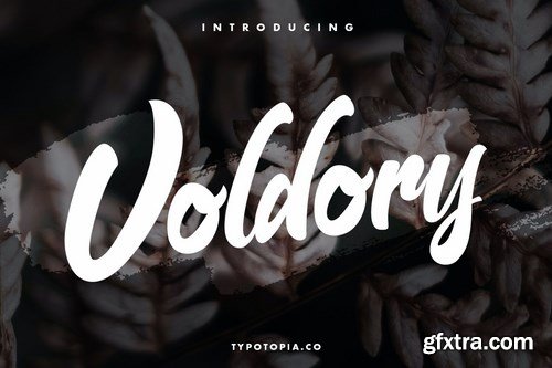 Voldory Modern Script Font