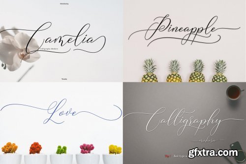 CreativeMarket - Best Seller Font Bundles 4505391