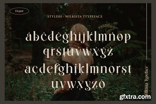 Wilkista - Ligature Typeface