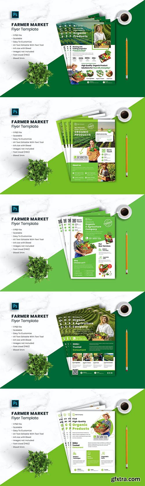 5 Farmer Market Flyer Templates