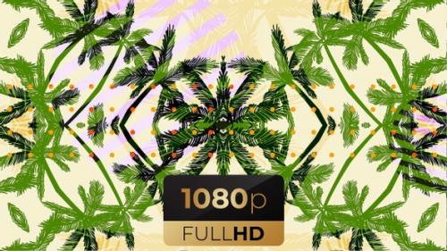 Videohive - Fresh Summer Palm Tree 3 - 32964392 - 32964392