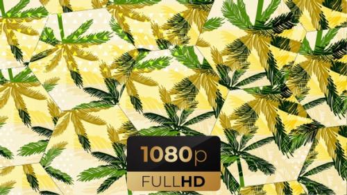 Videohive - Fresh Summer Palm Tree 2 - 32964394 - 32964394