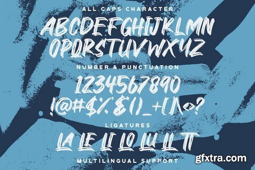 Ronald Charis - Textured Brush Font