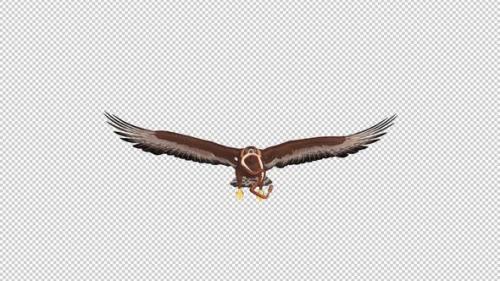 Videohive - Golden Eagle With Snake - Flying Loop - Front View - 32986665 - 32986665