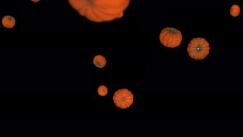 Videohive - 3D pumpkins fall on black background - 32992046 - 32992046