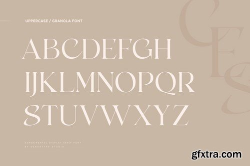 gemonica - experimental serif font