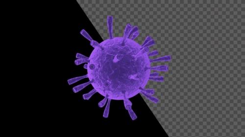 Videohive - Coronavirus Microscope View Covid 19 V20 - 33029253 - 33029253