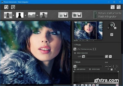 Picture Instruments Mask Integrator 1.0.6