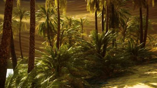 Videohive - Oasis in Hot Sahara Desert - 32989260 - 32989260