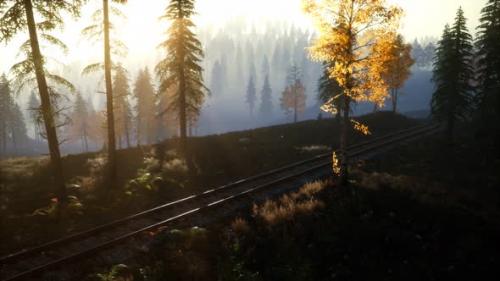 Videohive - National Forest Recreation Area and the Fog with Railway - 32989926 - 32989926