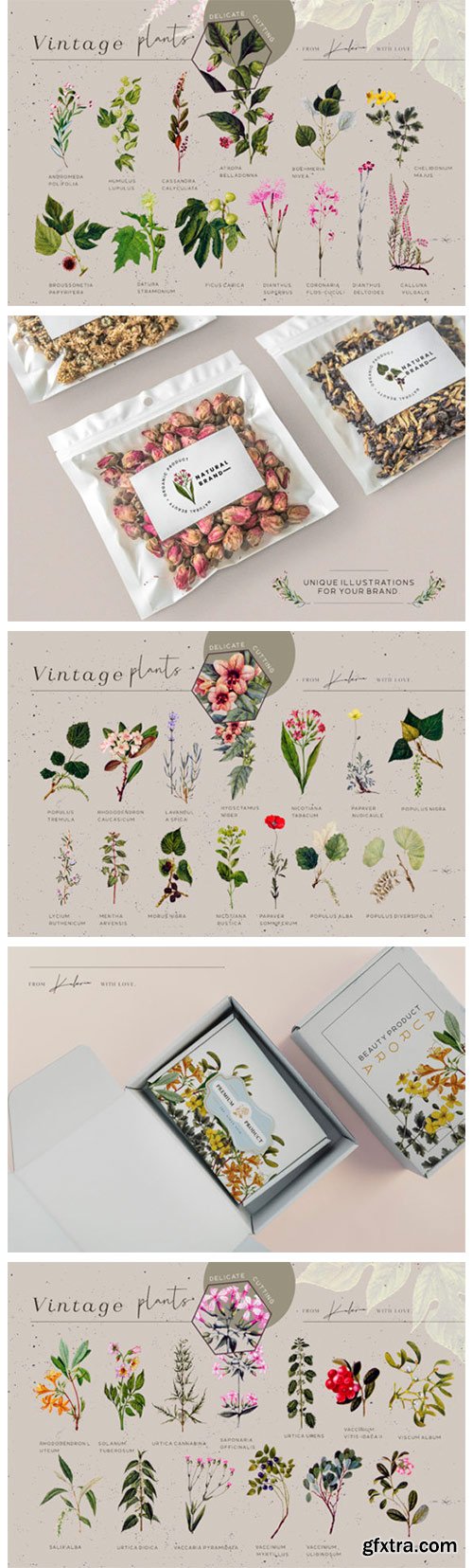 Green Garden - Vintage Botanical Kit 14214371