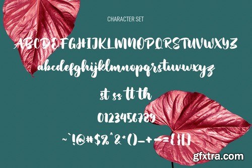 Hopipolla Script Font