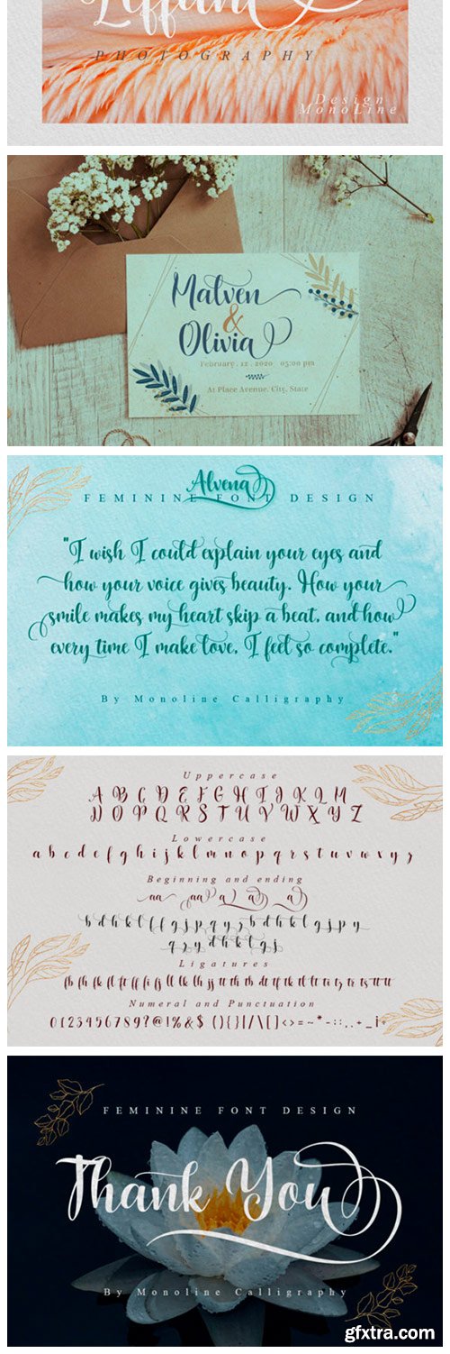 Alvena Script Font