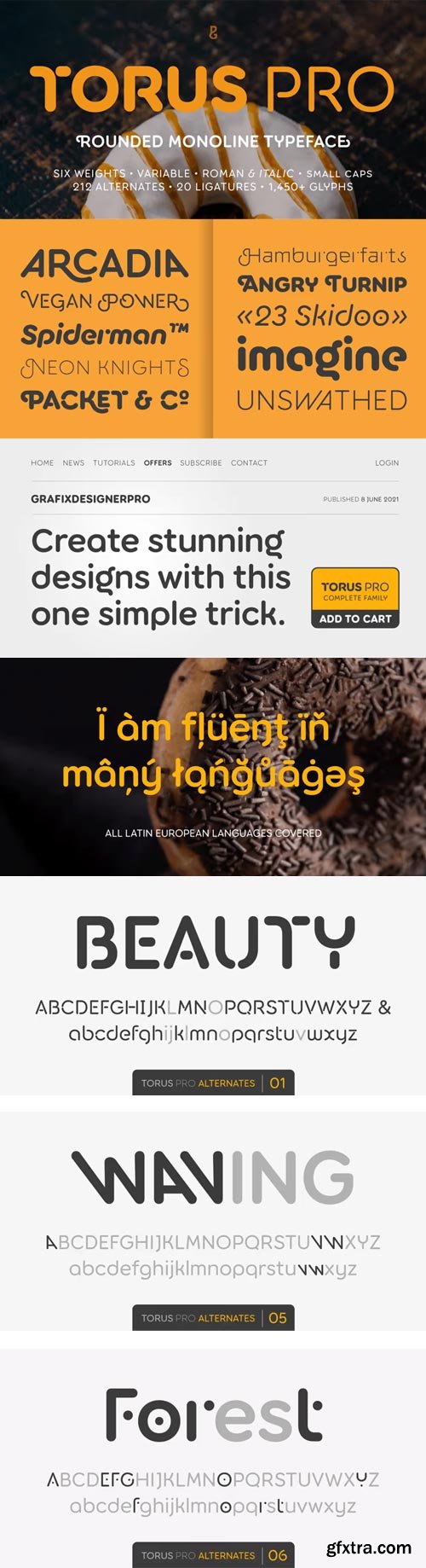 Torus Pro Font Family