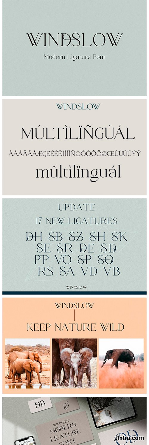 Windslow - Modern Ligature Font