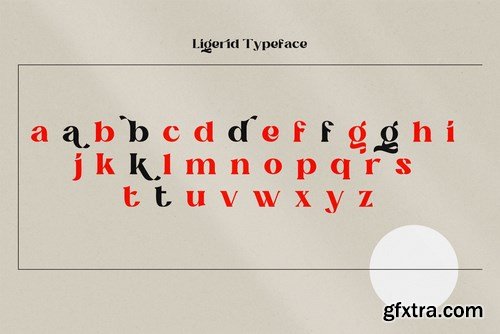 Bold And Unique Font - Ligerid