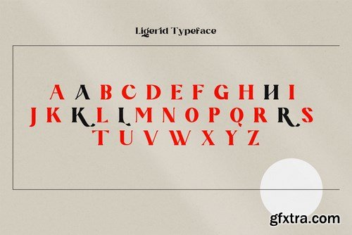 Bold And Unique Font - Ligerid