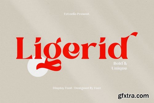 Bold And Unique Font - Ligerid