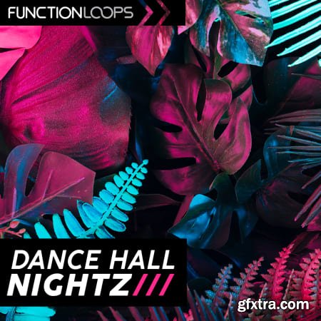 Function Loops Dancehall Nightz WAV