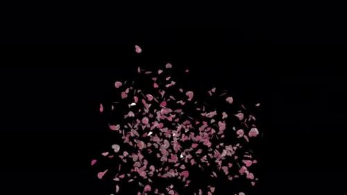 Videohive - Valentine Confetti Side - 25557958 - 25557958