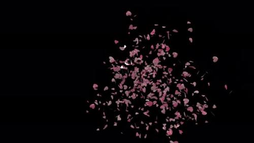 Videohive - Valentine Confetti Corner - 25557960 - 25557960