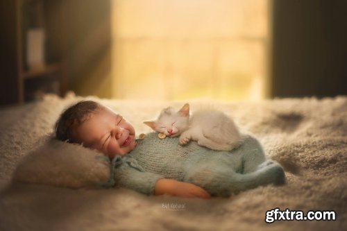 ​Incorporating Animals into Indoor Newborn Sessions by ​Sujata Setia