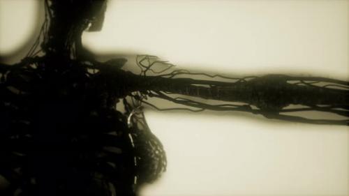 Videohive - Human Skeleton Bones Scan Glowing - 32988356 - 32988356