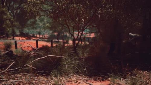 Videohive - Red Sand Bush with Trees - 32990610 - 32990610