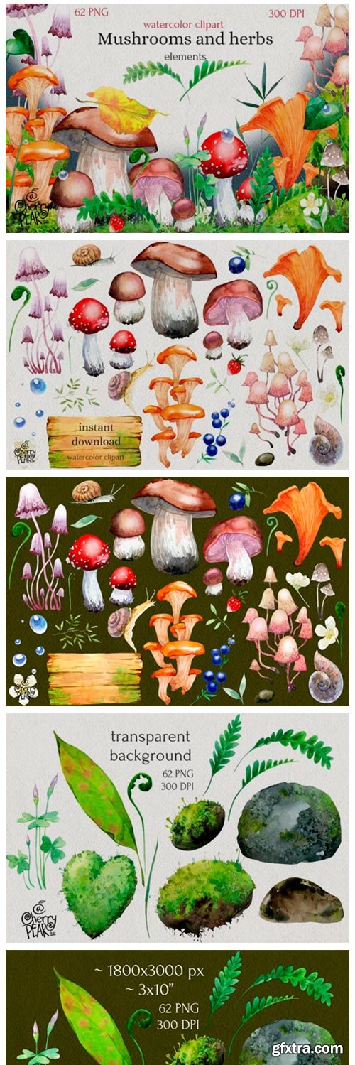 Watercolor Cliparts of Mushrooms 14755508