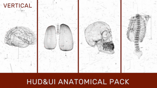 Videohive - HUD UI Anatomical Pack - 33068686 - 33068686