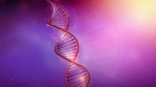 Videohive - Colorful Animation Of DNA Rotation HD - 33077990 - 33077990