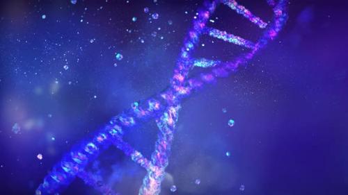 Videohive - Animation Of A Collapsing DNA Strand 4K - 33077995 - 33077995