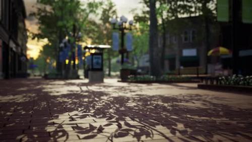 Videohive - Quiet City Park with Trees and Benches - 33080872 - 33080872