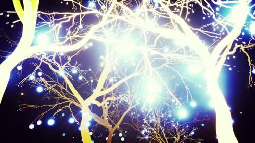 Videohive - Glowing Trees At Night 4k - 24344742 - 24344742