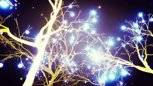 Videohive - Glowing Trees At Night - 24344743 - 24344743