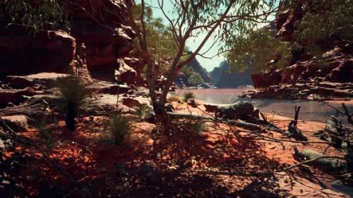 Videohive - Trees Near Colorado River in Grand Canyon - 33100597 - 33100597