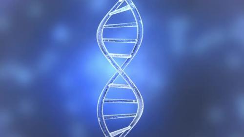 Videohive - DNA Helix Animation - 33109853 - 33109853