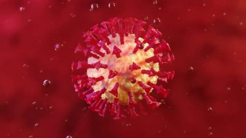 Videohive - Coronavirus aka Covid-19 Virus visualisation - 33109991 - 33109991