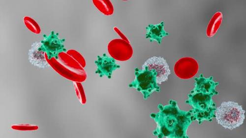 Videohive - Erythrocytes, Viruses and Monocytes flowing in the blood stream - 33110209 - 33110209