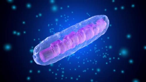 Videohive - 3D rendered Animation of a Mitochondria Cell - 33110811 - 33110811